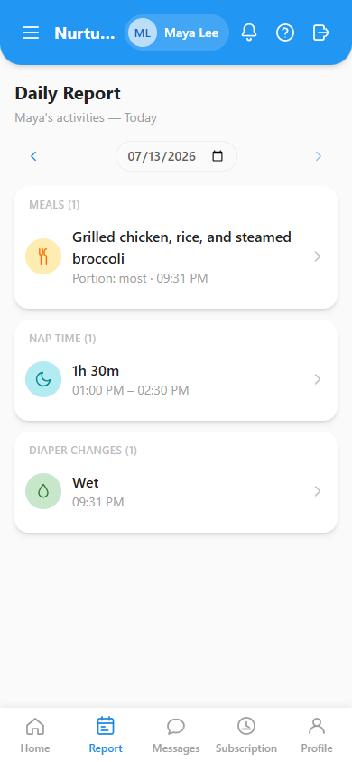 The Daily Report page showing activities grouped by category with counts.